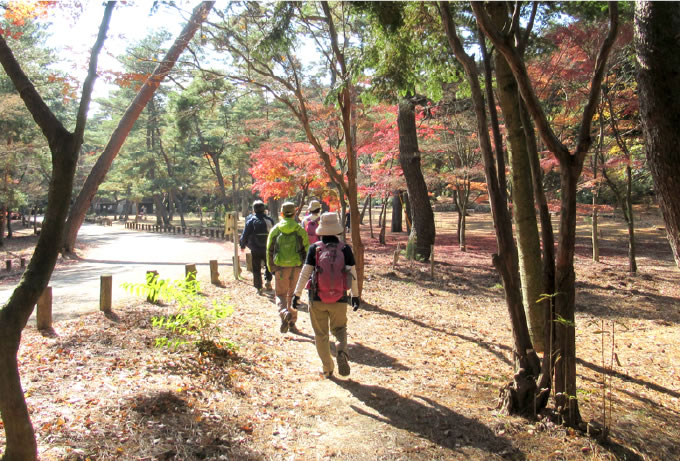 写真：きたきた！健康ハイキング