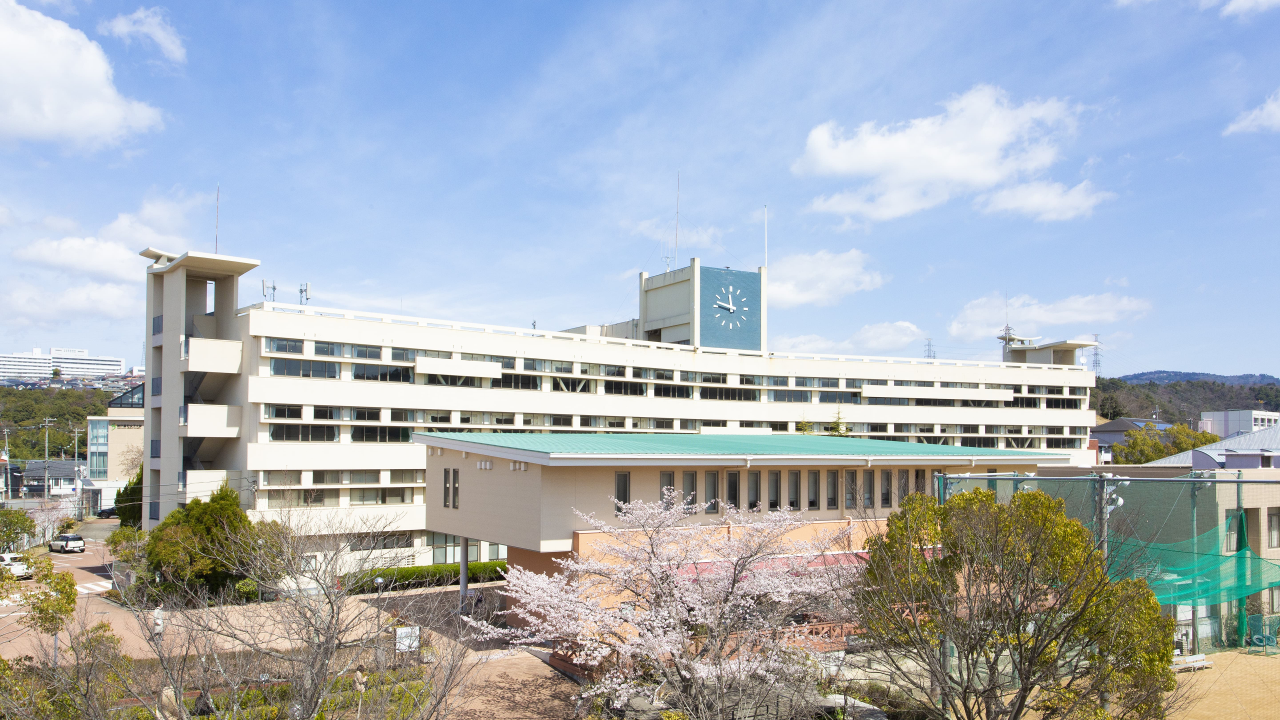 神戸 親和 大学