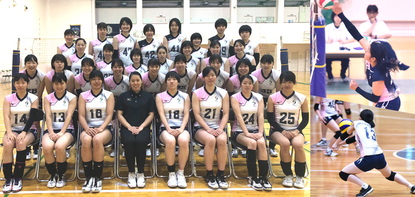 バレーボール部 クラブ活動 学生生活 神戸親和女子大学 バレーボール部 クラブ活動 学生生活 神戸親和女子大学