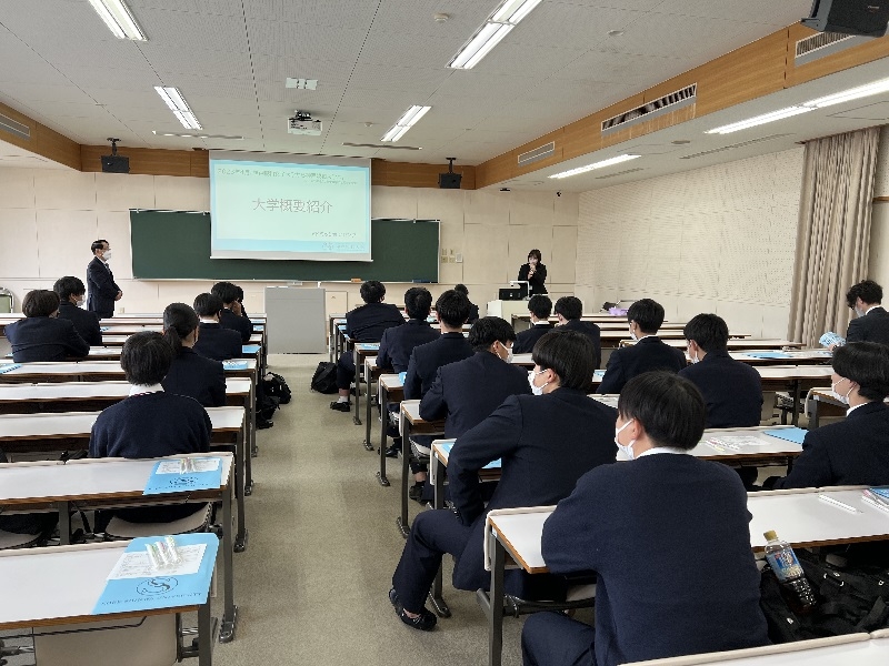 全体の様子